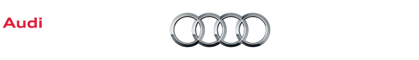 Audi Wintergames 2013